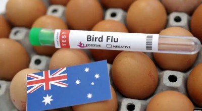 Australia cierra granjas a medida que se propaga la gripe aviar